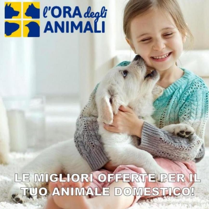 Le migliori offerte per il tuo animale domestico!. L'ora degli animali (2022-03-07-2022-03-07)